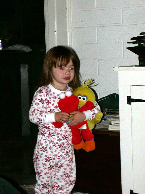 80first_sight_of_tree