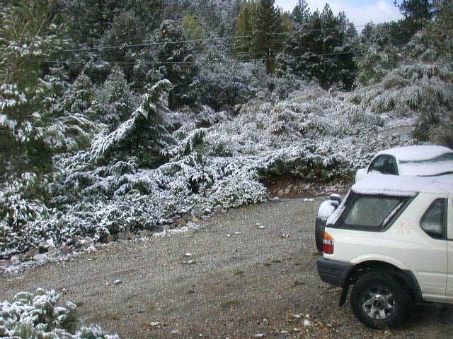 09_snowy_autos